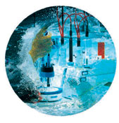 Qualio - Analyses & environnement