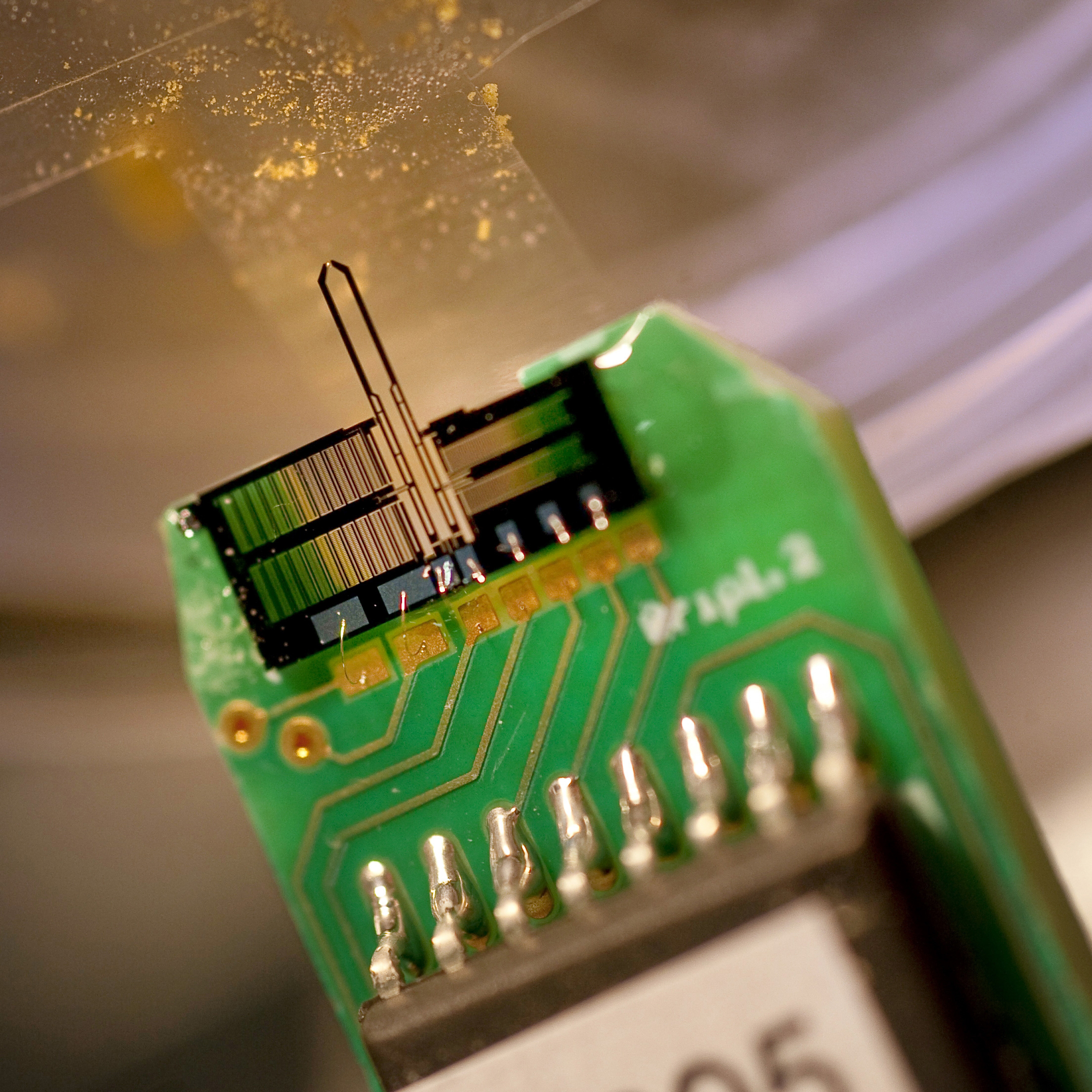 Licence Sciences pour l'ing&eacute;nieur