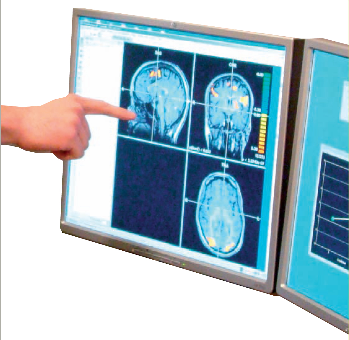 Master Physiologie, neurosciences et comportement